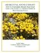 ARCHETYPAL AROMATHERAPY How to Formulate Blends that Heal - Guide to the Twelve (12) Chemical Families & Their Elemental Powers (The Aromatherapy Professional: Healing with Essential Oils)