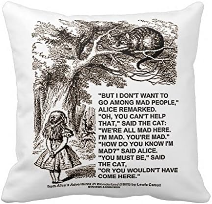 Wonderland Dont Want To Go Among Mad People Quote Pillow Case