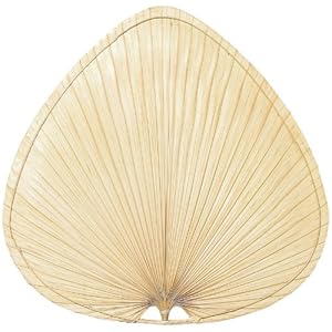 Fanimation Fan Blade Set CAISP2 Ten 18" Wide Oval Natural Palm Leaf Blades