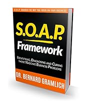 S.O.A.P. Framework--SOAP Changes the way you FOCUS on your Business.: Identfying, Diagnosing, and Curing those Nagging Business Problems