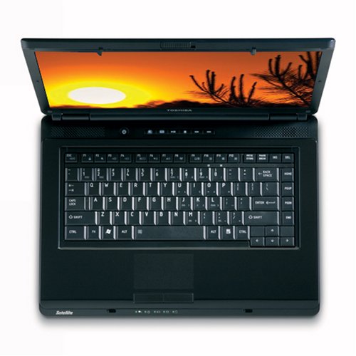 Toshiba Satellite L305D-S5874 15.4