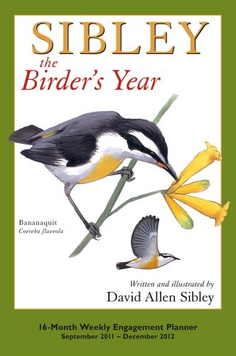 Sibley: The Birders Year Engagement (calendar)
