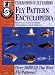 Fly Pattern Encyclopedia: Over 1600 of the Best Fly Patterns (Federation of Fly Fishers)