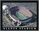 New York Giants - Giants Stadium Aerial - Lg - Wood Mounted Poster Print