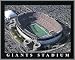 New York Giants - Giants Stadium Aerial - Lg - Wood Mounted Poster Print