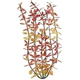 Tetra Water Wonders Fresh Water Plant Red Ludwigia, 12-Inch