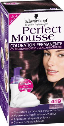  Schwarzkopf - Perfect Mousse - Coloration Permanente - Châtain Violine 419