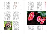 万葉の花 四季の花々と歌に親しむ 画像