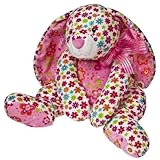 Knowing God: Walking through the Book of Books