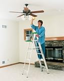 Werner 6-Foot 225-Pound Duty Rating Aluminum Stepladder #356