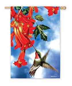 Summer Flag "Silent Wings Hummingbird"