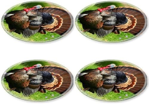 Domestic Wild Turkey Birds Garden Hunting Round Coaster (4 Piece) Set Fabric Rubber 5 Inch Size Luxlady Coaster Cup Mug Can Water Bottle Drink Coasters Stain Resistance Collector Kit Kitchen Table Top Desk