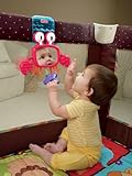 Fisher-Price Discover & Grow Peek-a-boo Playard Crab