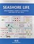 Seashore Life Nature Activity Book: Educational Games & Activities for Kids of All Ages (Children's Nature Activity Book)