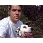 Le dalmatien de Dehasse Joel