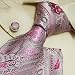 H5018 NEW Designes Pink Purple Paisleys 100% Jacquard Woven Silk Tie Hanky Mens Neckt...