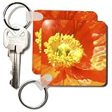 Patricia Sanders Flowers - Iceland Poppy Close Up- Flowers- Macro Photography - Key Chains