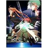 DVD付き初回限定版『魔法先生ネギま! 28巻』