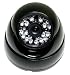 Electronics 1/3" Sharp CCD 420 TV Line 24 LED IR Infrared Vandal-Proof Dome Camera BLK REVIEWS