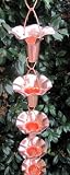 Copper Rain Chain Morning Glory Flower - 8-ft