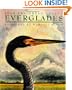 Everglades