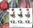 36 pcs 12" Berry Hand Wrapped Artificial Fruit Pick for Christmas Decoration