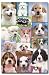 Puppies (Collage 2) Art Poster Print - 24x34