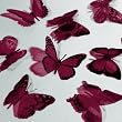 Butterfly 3D Translucent Decoration 12 SANGRIA Butterflies