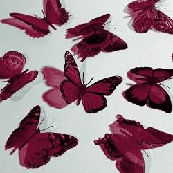 Butterfly 3D Translucent Decoration 12 SANGRIA Butterflies