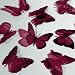 Butterfly 3D Translucent Decoration 12 SANGRIA Butterflies
