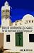 Muslim Communities of Grace: The Sufi Brotherhoods in Islamic Religious LIfe