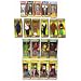 Mego Reiissue Boxed Figures, Complete Set of 19 Figures Including, Knights, Western, Pirates and Robin Hood
