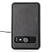 AmazonBasics USB Powered Computer Speakers (A100)