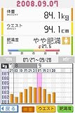�w���N����DS�x���g�債�Č���
