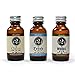 The 2 Bits Beard Oil 3 Pack - The Classic, The Woods, The Fresh - Essential Oil Scented - Beard Conditioner by The 2 Bits Man (1 oz.)