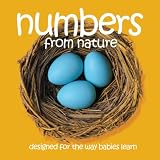 Numbers From Nature