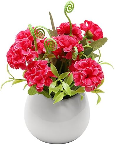 Mastone Petite Wall Mounted, Hanging or Freestanding Decorative Ceramic Flower Planter Vase Holder Display (white)