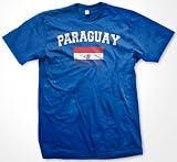 Paraguay Flag International Soccer T-shirt, Paraguayan Soccer Mens T-shirt, Large, Lt Gray