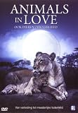 Animals in Love ( Les animaux amoureux ) [ NON-USA FORMAT, PAL, Reg.2 Import - Netherlands ]