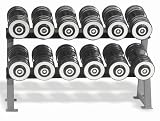 Hampton Fitness Club Set Eclipse Chrome Dumbbells: Includes 6 Pair Dumbbells (105-130 in 5 lb. increments), Rack Included (Commercial Grade)