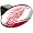 Detroit Red Wings