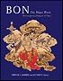 Bon: The Magic Word: The Indigenous Religion of Tibet