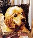 Wonderart Latch Hook Kit Puppy Love 12