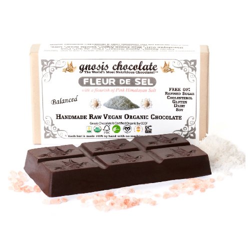 Gnosis Fleur de Sel Raw Chocolate Bar - 2oz