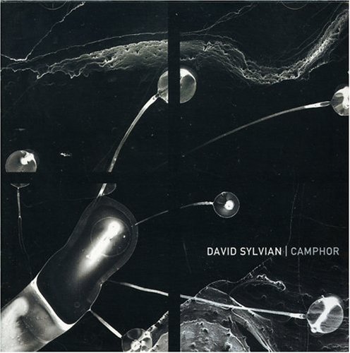 David Sylvian - PRAISE (PRATAH SMARAMI) Lyrics - Zortam Music