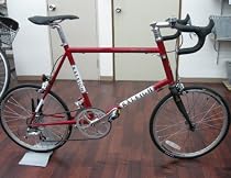 2009年モデル　RALEIGH(ラレー)　RCS RSW Carlton　ノッティンガムレッド