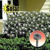 Solar Net Lights