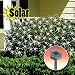 SOLAR NET LIGHTS
