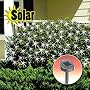 SOLAR NET LIGHTS
