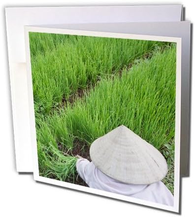 Danita Delimont - Farms - Farmer with conical hat, green onions, Da Lat, Vietnam - AS38 KSU0264 - Keren Su - 12 Greeting Cards with envelopes (gc_133198_2)